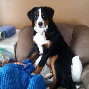 Meet your Posher, Cindy